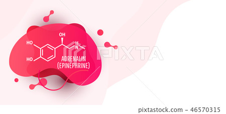 Adrenaline (adrenalin, epinephrine) molecule 46570315