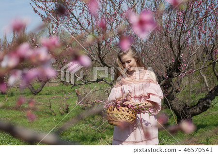 beautiful blonde woman collects pink flowers in a basket beautiful blonde woman collects pink flowers in a basket 46570541