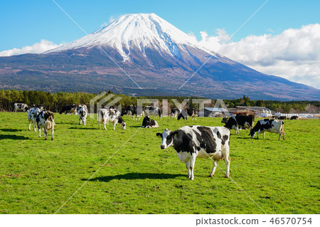 朝鮮族高原牛肉 朝鮮族高原牛肉 46570754