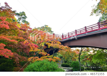Autumn leaves in the autumn leaves of Momiji Valley (Niigata Prefecture) 46571355