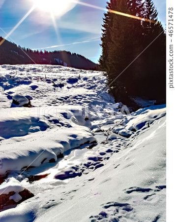 Swiss Alps seen from Beatenberg during winter Swiss Alps seen from Beatenberg during winter 46571478
