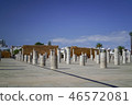rabat, morocco, casablanca 46572081