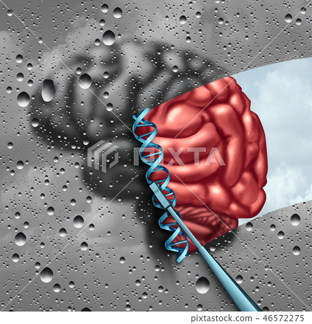 Brain Science Discovery Brain Science Discovery 46572275