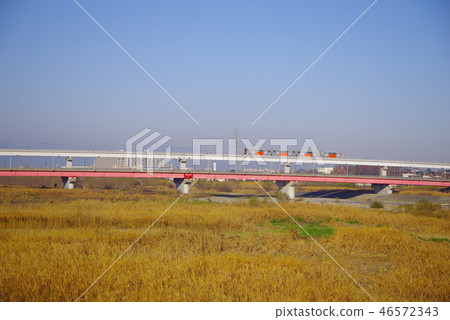 Tama city monorail seen from Tama River 46572343