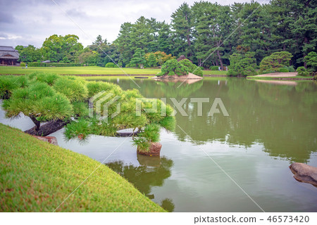 Scenery of the pond of Okayama Korakuen Sawa Scenery of the pond of Okayama Korakuen Sawa 46573420