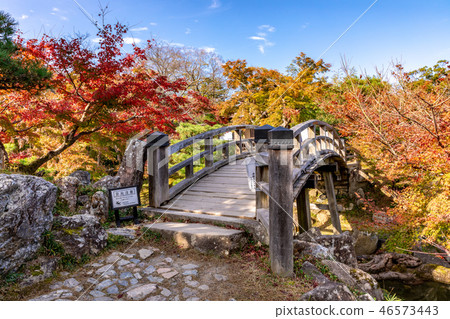 Uakauma的高橋和紅葉 Uakauma的高橋和紅葉 46573443