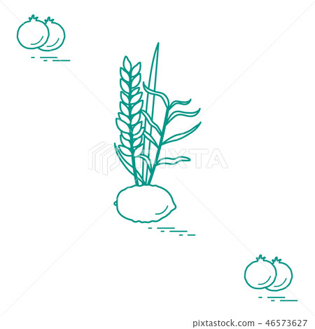 Pomegranate and Lulav - symbolic attribute of the 46573627