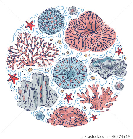 Circle coral underwater concept 46574549