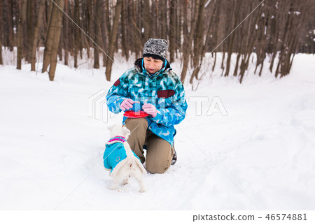 Jack Russell Terrier. Dog playing in winter park. Pet concept. Jack Russell Terrier. Dog playing in winter park. Pet concept. 46574881