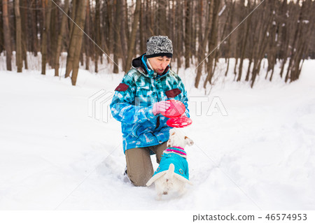 Jack Russell Terrier dog with owner woman playing in the winter outdoors. Jack Russell Terrier dog with owner woman playing in the winter outdoors. 46574953