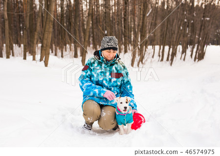 Jack Russell Terrier dog with owner woman playing in the winter outdoors. 46574975
