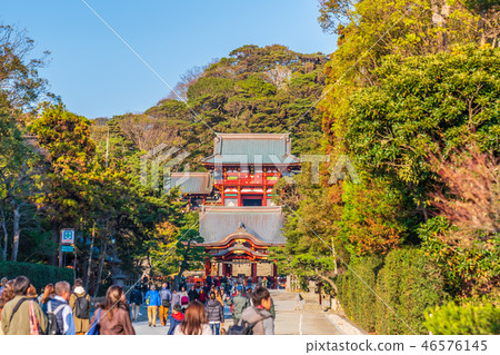 日本的秋天Kita Kamakura秋天鶴岡八幡宮 46576145