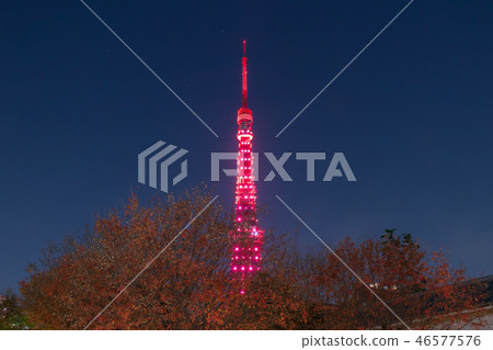 Urban scenery Tokyo Tower 60th anniversary special light up Night view Urban scenery Tokyo Tower 60th anniversary special light up Night view 46577576