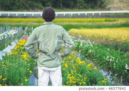 花卉農業男子 花卉農業男子 46577642