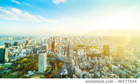 urban city skyline aerial view in Tokyo, Japan 46577844