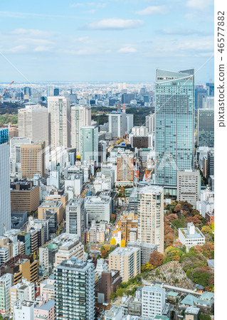 urban city skyline aerial view in Tokyo, Japan urban city skyline aerial view in Tokyo, Japan 46577882