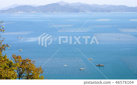 南部海岸海洋農場 46578104