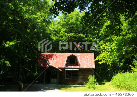 Furano Futo's handmade hut 46578360