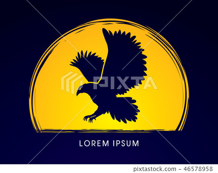 Eagle flying designed on moonlight background  46578958