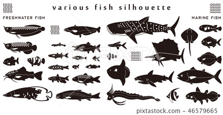 Fish silhouette material collection 46579665