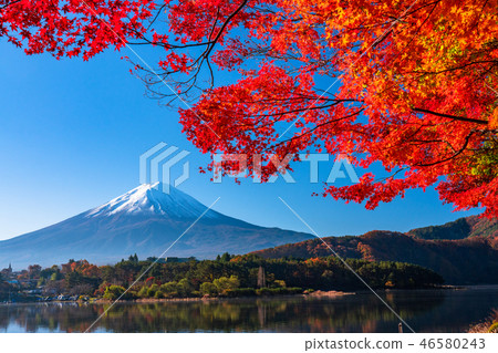 "Superb view" Japan's Autumn / Mt. Fuji and autumn leaves "Superb view" Japan's Autumn / Mt. Fuji and autumn leaves 46580243