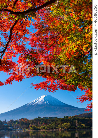 绝妙的景色 日本的秋天 富士山和秋叶 图库照片