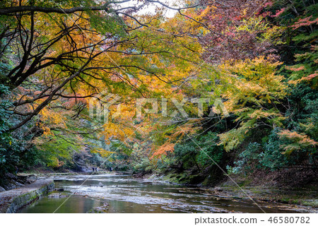 Yoro Valley 32 46580782