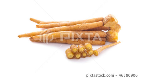 finger root (Krachai) Thai herb finger root (Krachai) Thai herb 46580906