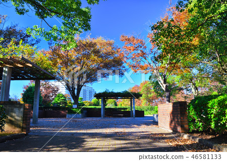 Nagareyama市綜合運動公園藍天和休息區 Nagareyama市綜合運動公園藍天和休息區 46581133