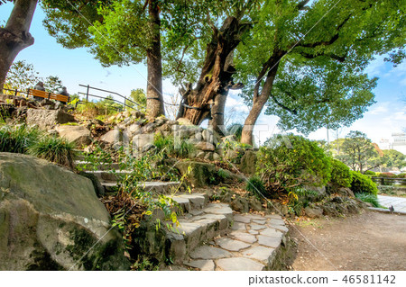 Hibiya Mitsuke Trace 46581142