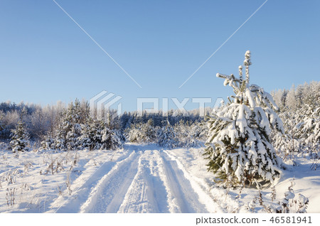 Snowy road in winter forest Snowy road in winter forest 46581941