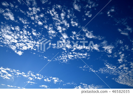 沙丁魚雲 沙丁魚雲 46582035