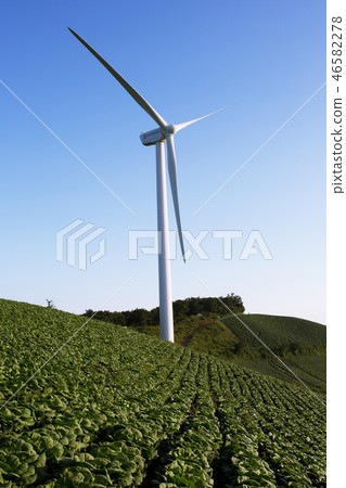 Wind turbine generator in the highland Chinese cabbage field in Daegwanryeong 46582278
