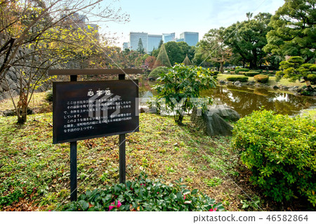 衷心的池塘 衷心的池塘 46582864