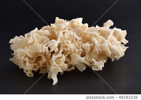 蘑菇（花瓣蛋糕） 46583236