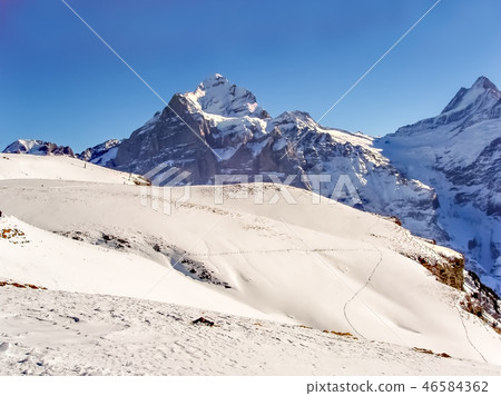 Wetterhorn 3692m mountain peak, seen from path between First and Faulhorn, Grindelwald, Switzerland 46584362