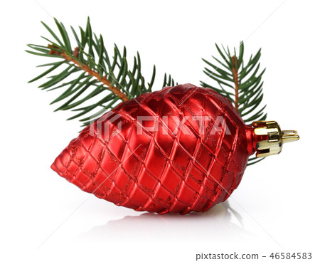 Red pine cone and spruce branches Red pine cone and spruce branches 46584583