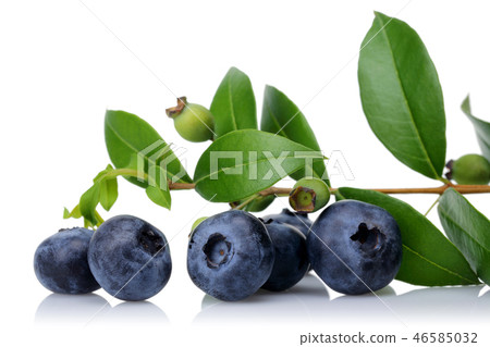 Fresh blueberries with leaves 46585032