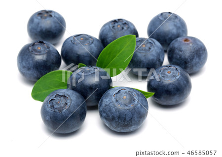 Fresh blueberries with leaves Fresh blueberries with leaves 46585057