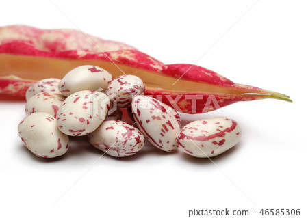 Pinto beans and pod isolated on white background 46585306