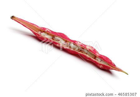 Pinto beans and pod isolated on white background 46585307