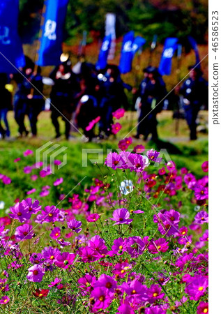 Scenery of the Sekigahara Battle Festival Scenery of the Sekigahara Battle Festival 46586523
