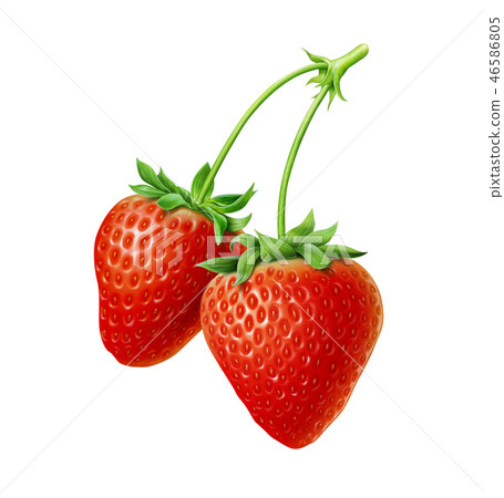 Strawberries and on a branch Strawberries and on a branch 46586805