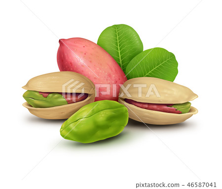 Pistachio nuts illustration 46587041