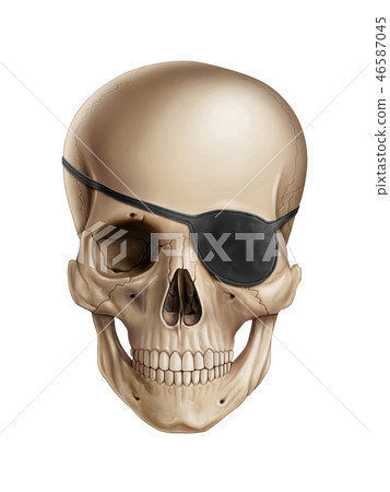 Pirate skull illustration Pirate skull illustration 46587045