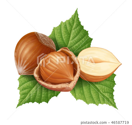 Hazelnuts and leaves Hazelnuts and leaves 46587719