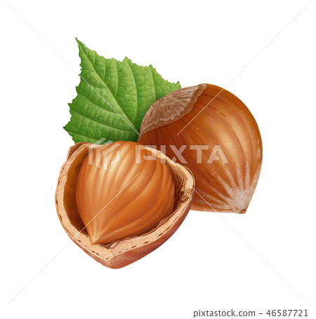 Hazelnuts and leaf Hazelnuts and leaf 46587721
