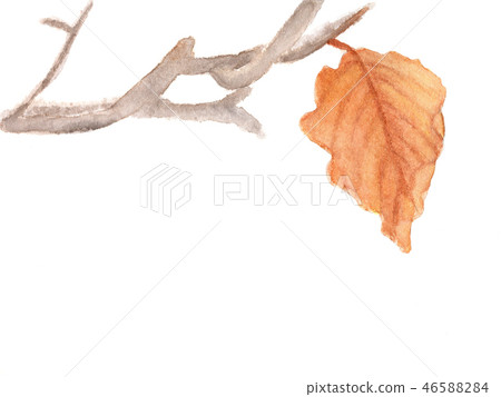 Dry branch with yellow leaf with place for text. 46588284