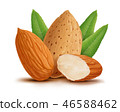 Almonds with leaves isolated on white background 46588462