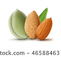 Almonds with leaf isolated on white background 46588463